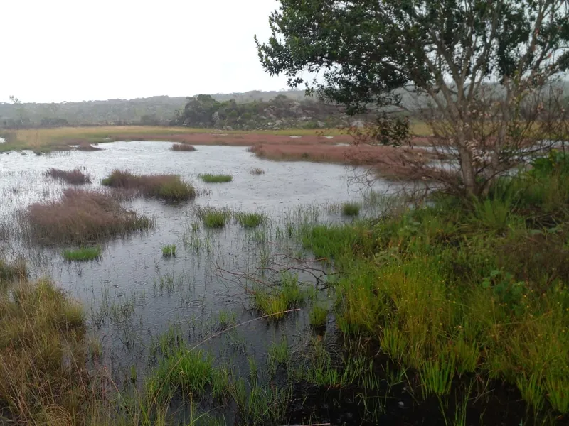 Fazenda em Montes Claros/Minas Gerais — Ref YCABVH — Imagem 19
