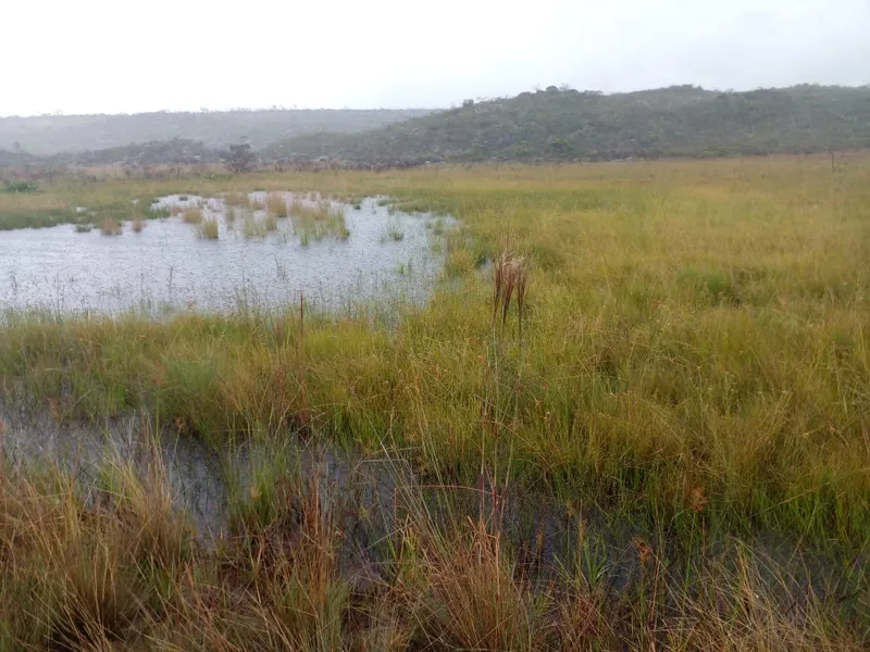 Fazenda em Montes Claros/Minas Gerais — Ref YCABVH — Imagem 20