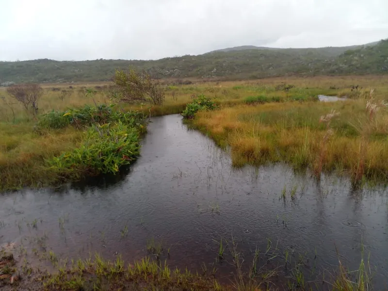 Fazenda em Montes Claros/Minas Gerais — Ref YCABVH — Imagem 21