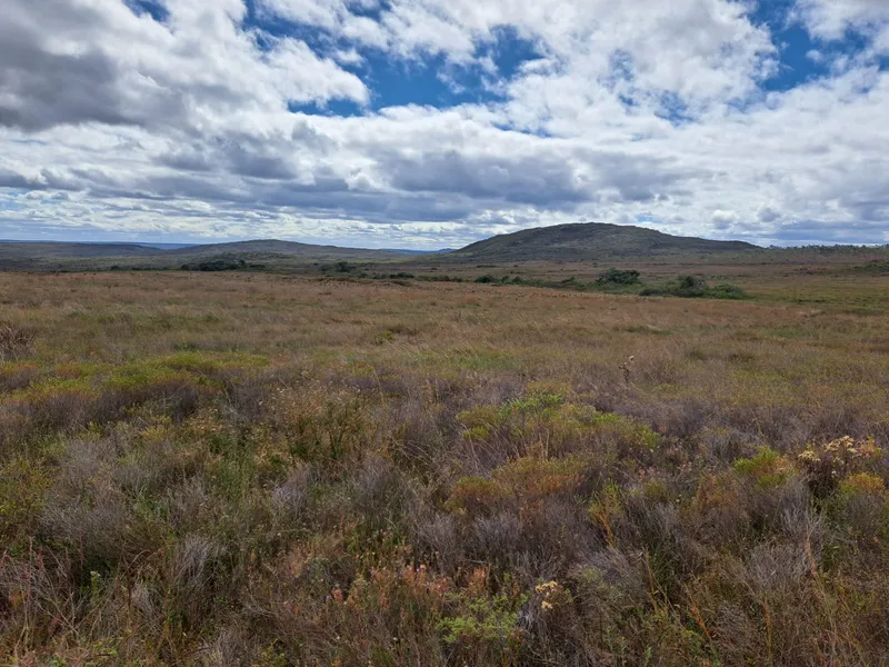 Fazenda em Montes Claros/Minas Gerais — Ref YCABVH — Imagem 22