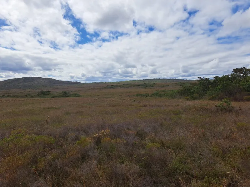 Fazenda em Montes Claros/Minas Gerais — Ref YCABVH — Imagem 23