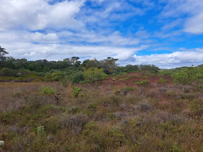 Fazenda em Montes Claros/Minas Gerais — Ref YCABVH — Imagem 24