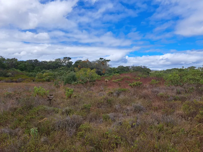 Fazenda em Montes Claros/Minas Gerais — Ref YCABVH — Imagem 25
