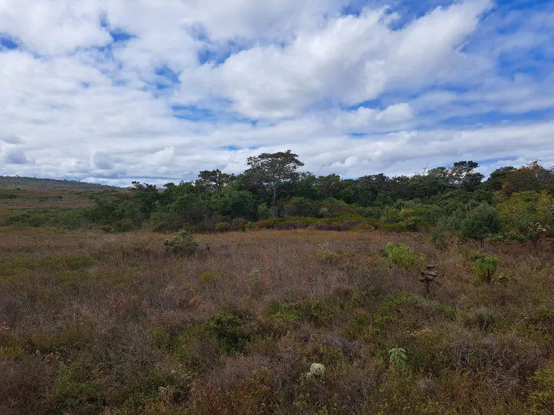 Fazenda em Montes Claros/Minas Gerais — Ref YCABVH — Imagem 27