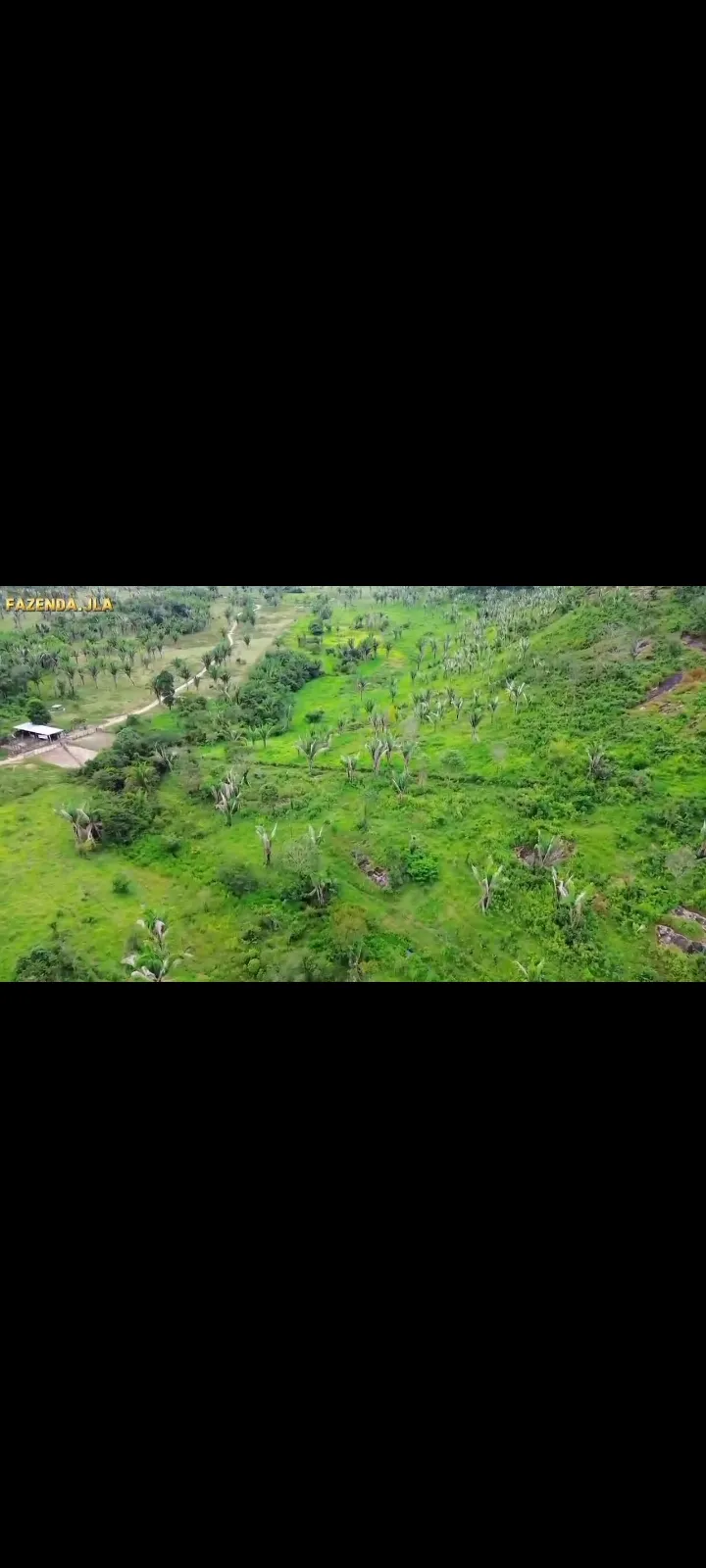 Fazenda em Novo Progresso/Pará — Ref 91U5KV — Imagem 2