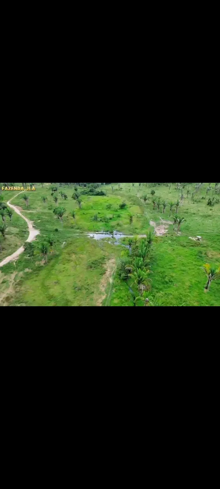 Fazenda em Novo Progresso/Pará — Ref 91U5KV — Imagem 3
