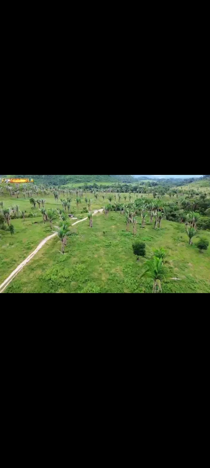 Fazenda em Novo Progresso/Pará — Ref 91U5KV — Imagem 7