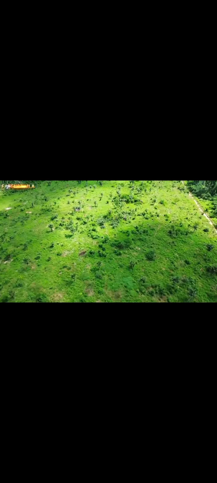 Fazenda em Novo Progresso/Pará — Ref 91U5KV — Imagem 10