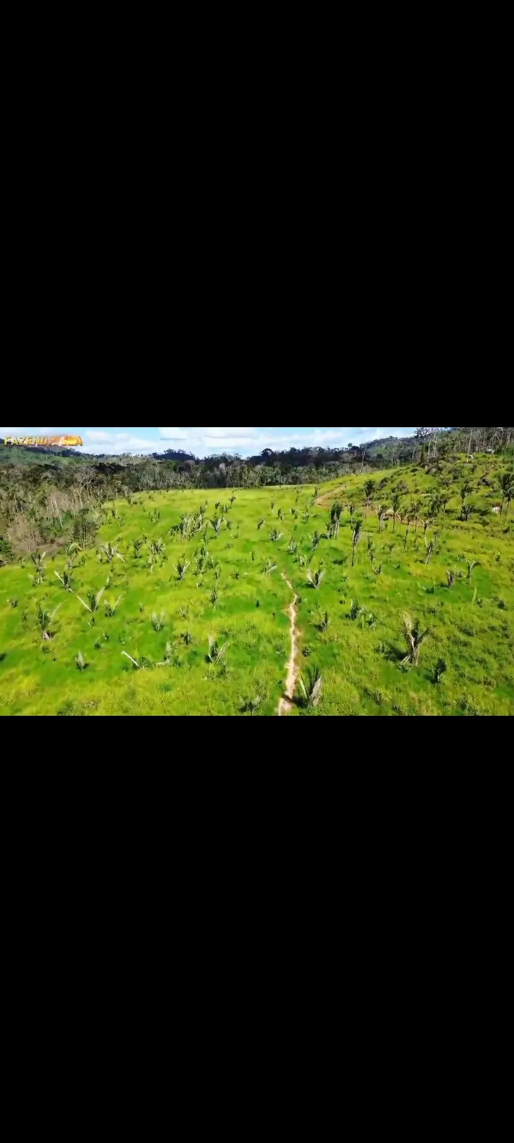 Fazenda em Novo Progresso/Pará — Ref 91U5KV — Imagem 12
