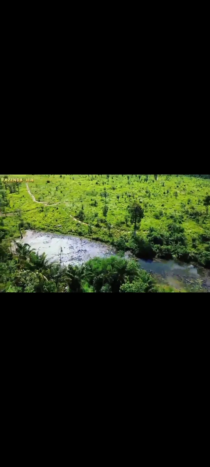 Fazenda em Novo Progresso/Pará — Ref 91U5KV — Imagem 14
