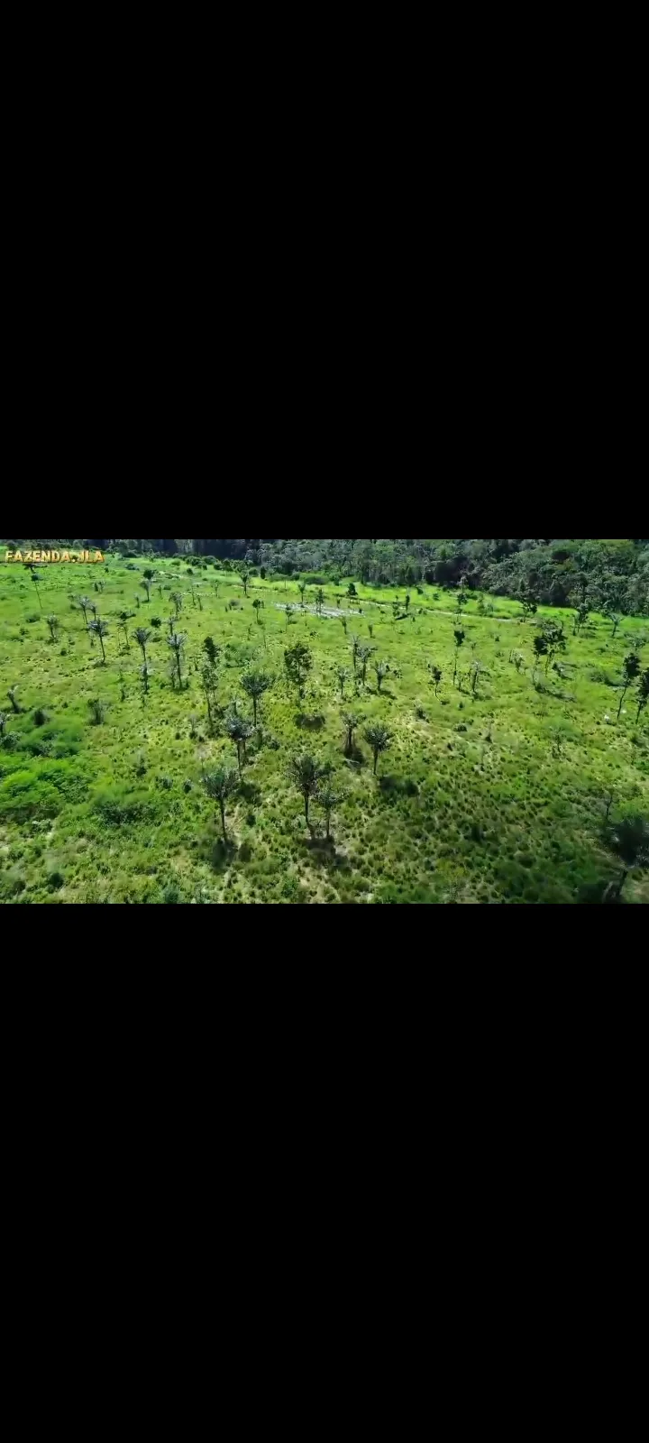 Fazenda em Novo Progresso/Pará — Ref 91U5KV — Imagem 17
