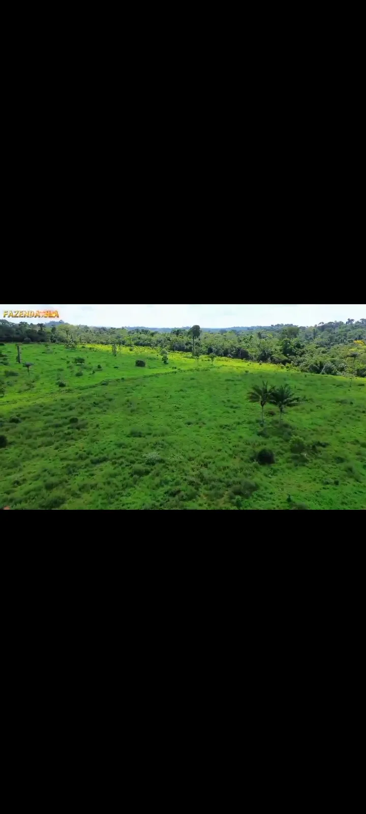 Fazenda em Novo Progresso/Pará — Ref 91U5KV — Imagem 18