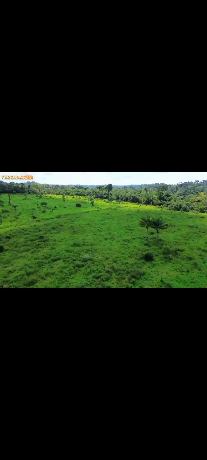 Fazenda em Novo Progresso/Pará — Ref 91U5KV — Imagem 20