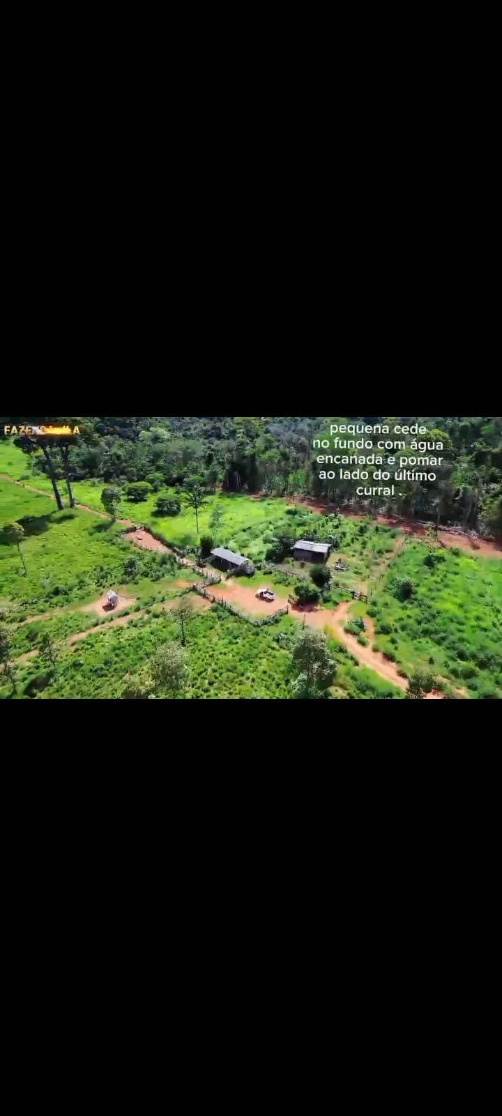 Fazenda em Novo Progresso/Pará — Ref 91U5KV — Imagem 21