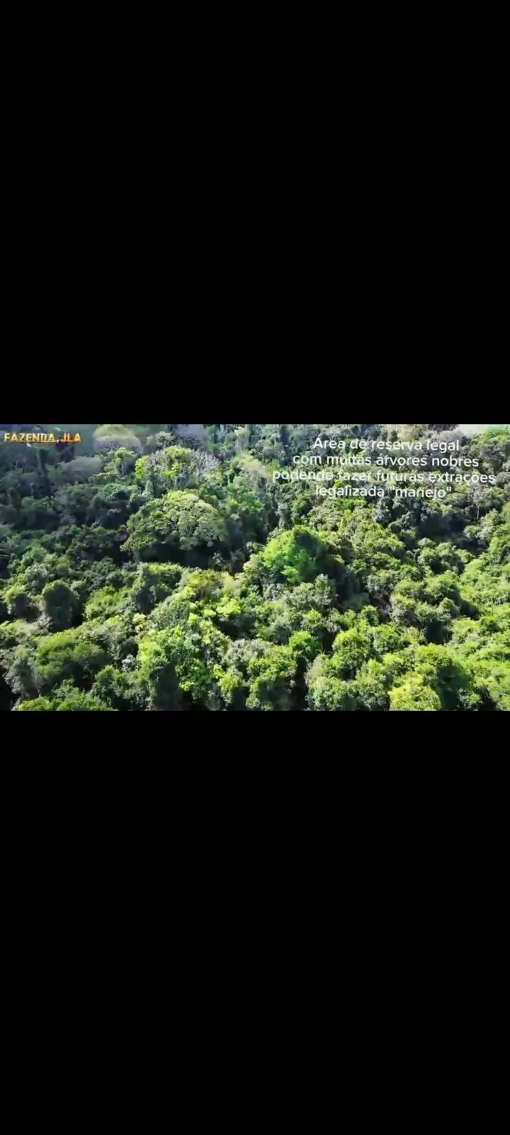 Fazenda em Novo Progresso/Pará — Ref 91U5KV — Imagem 23