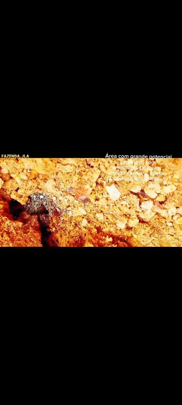 Fazenda em Novo Progresso/Pará — Ref 91U5KV — Imagem 25