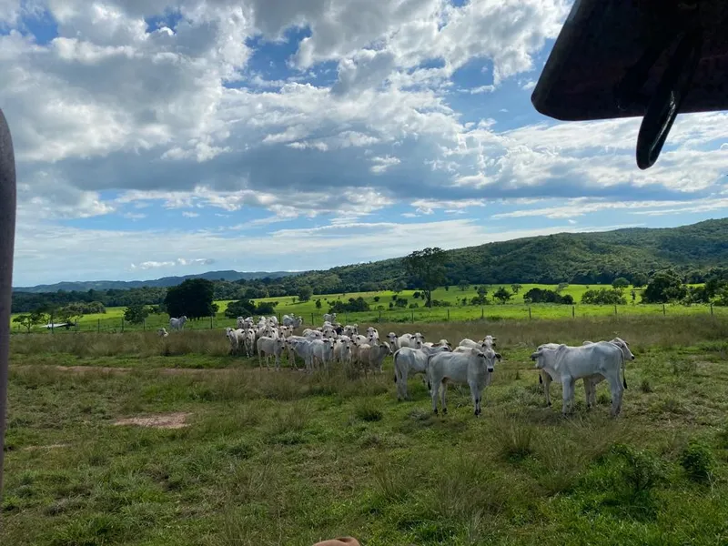 Imóvel rural em Israelândia/Goiás — Ref JWAATO1