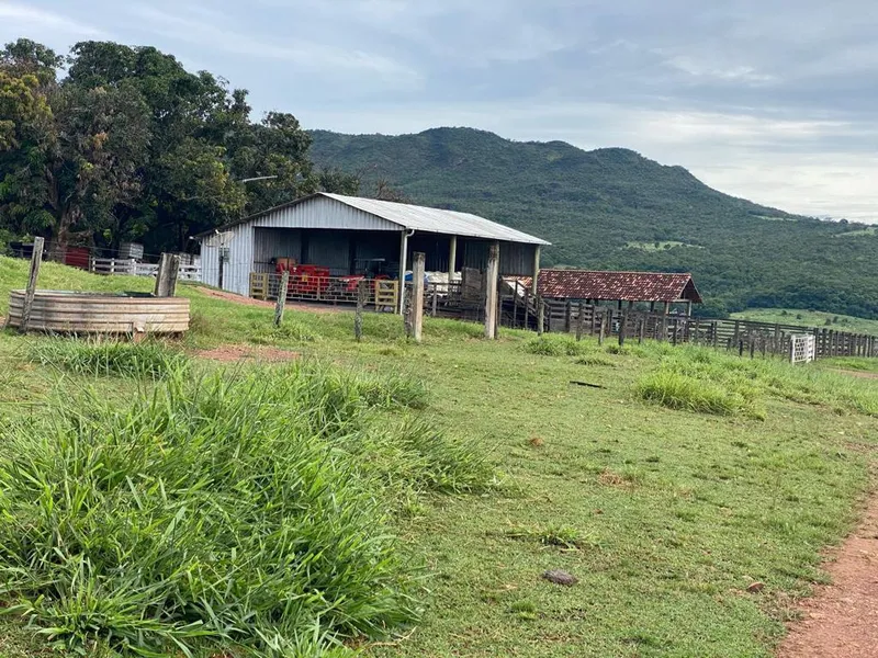 Fazenda em Israelândia/Goiás — Ref JWAATO — Imagem 21