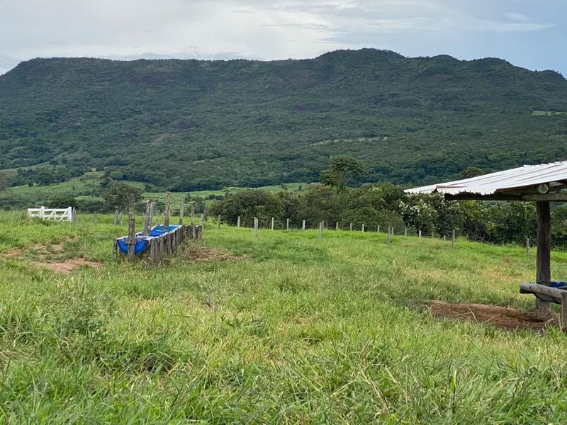 Fazenda em Israelândia/Goiás — Ref JWAATO — Imagem 2