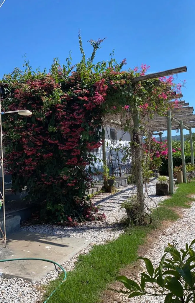 Fazenda em Israelândia/Goiás — Ref JWAATO — Imagem 18