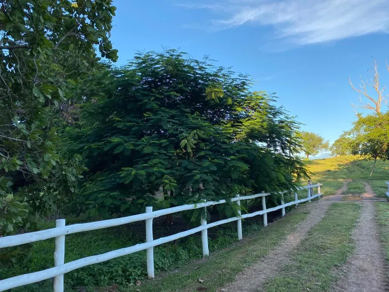 Fazenda em Israelândia/Goiás — Ref JWAATO — Imagem 14