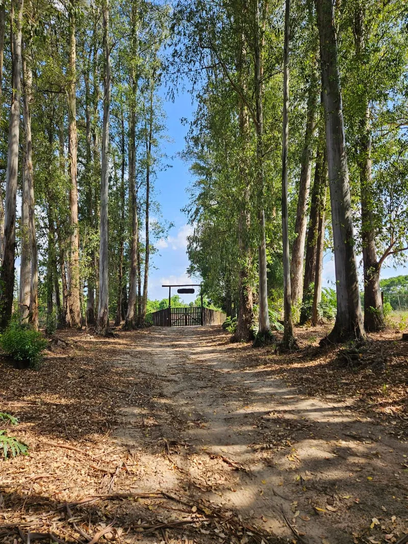 Fazenda em Brotas/São Paulo — Ref TNHVI2 — Imagem 32