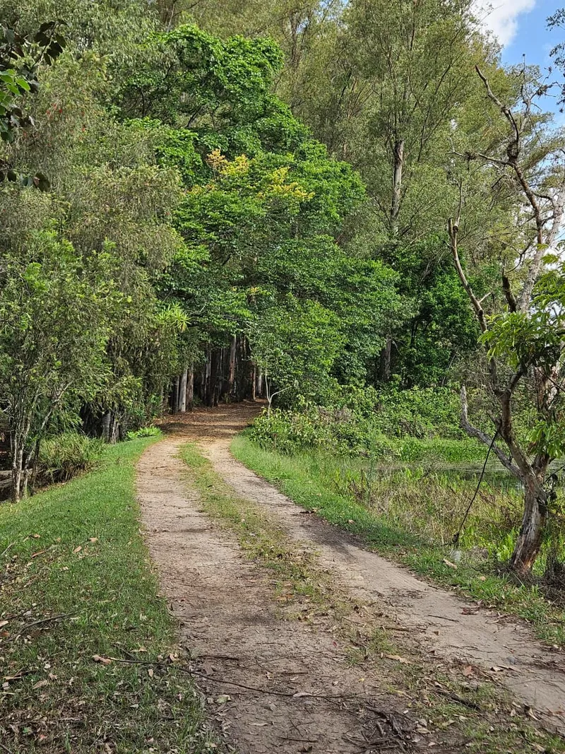 Fazenda em Brotas/São Paulo — Ref TNHVI2 — Imagem 20