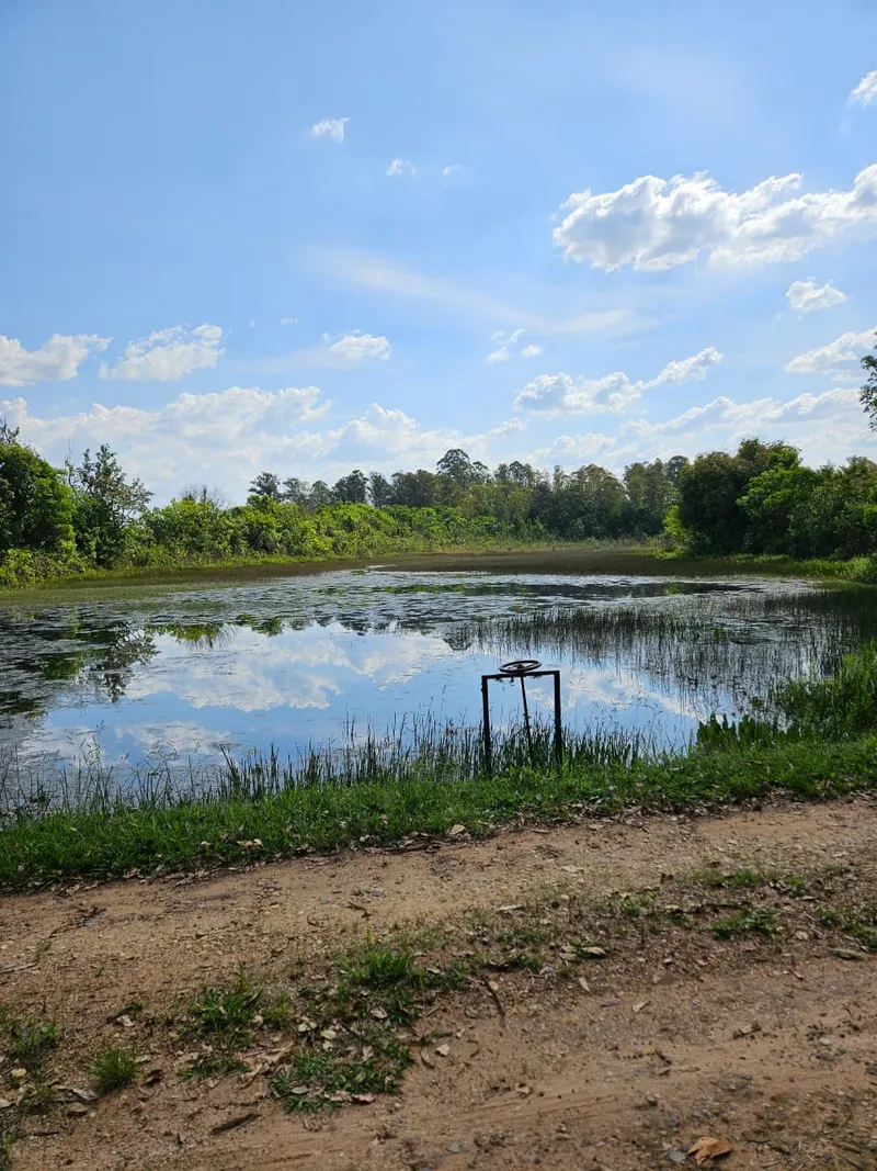 Fazenda em Brotas/São Paulo — Ref TNHVI2 — Imagem 14