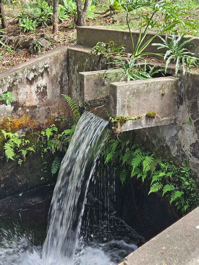 Fazenda em Brotas/São Paulo — Ref TNHVI2 — Imagem 15