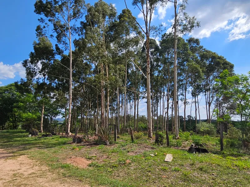 Fazenda em Brotas/São Paulo — Ref TNHVI2 — Imagem 21