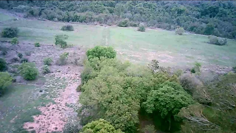 Fazenda em Brotas/São Paulo — Ref TNHVI2 — Imagem 23