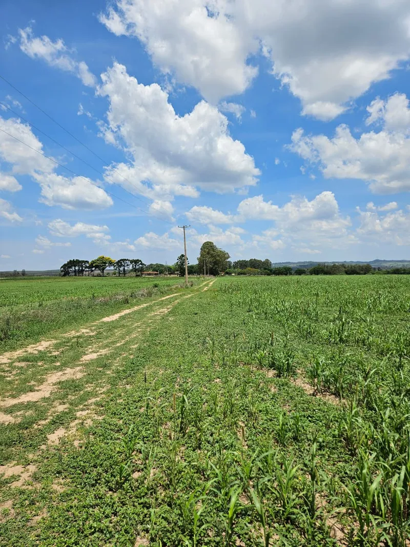 Fazenda em Brotas/São Paulo — Ref TNHVI2 — Imagem 25