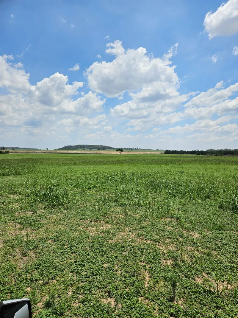 Fazenda em Brotas/São Paulo — Ref TNHVI2 — Imagem 17