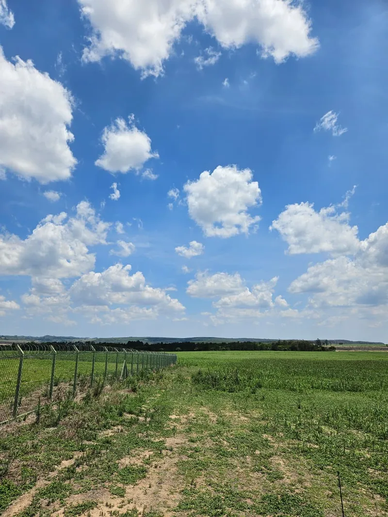 Fazenda em Brotas/São Paulo — Ref TNHVI2 — Imagem 18