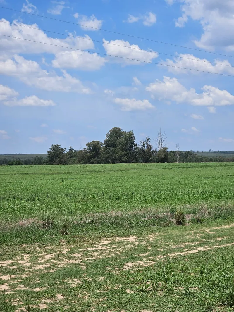 Fazenda em Brotas/São Paulo — Ref TNHVI2 — Imagem 19
