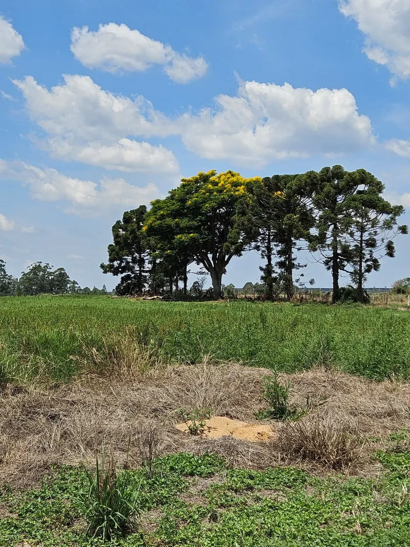 Fazenda em Brotas/São Paulo — Ref TNHVI2 — Imagem 27
