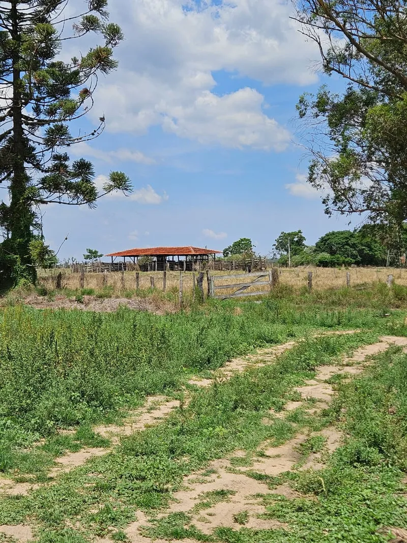 Fazenda em Brotas/São Paulo — Ref TNHVI2 — Imagem 13