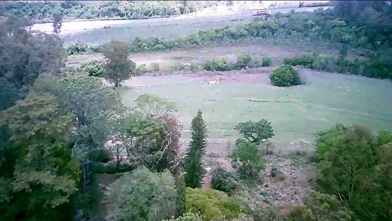 Fazenda em Brotas/São Paulo — Ref TNHVI2 — Imagem 30