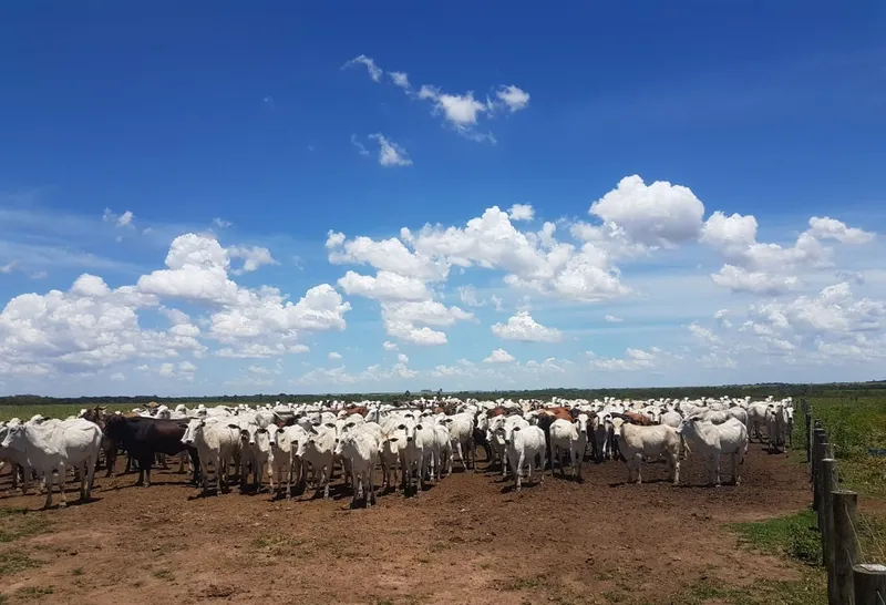 Fazenda em Primavera do Leste/Mato Grosso — Ref 78UL9O — Imagem 4