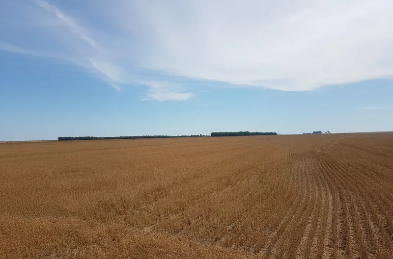 Fazenda em Primavera do Leste/Mato Grosso — Ref 78UL9O — Imagem 2