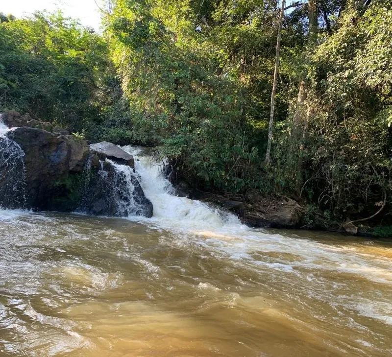 Fazenda em Anápolis/Goiás — Ref 7ZYPTF — Imagem 5