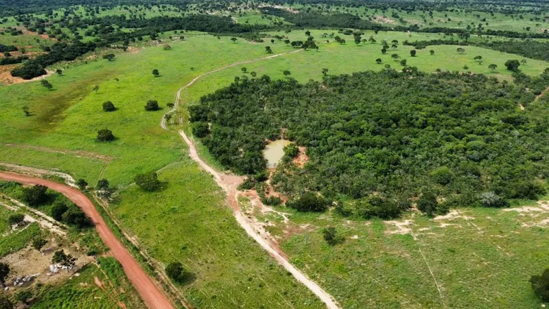 Fazenda em São João d'Aliança/Goiás — Ref BWLOFO — Imagem 6