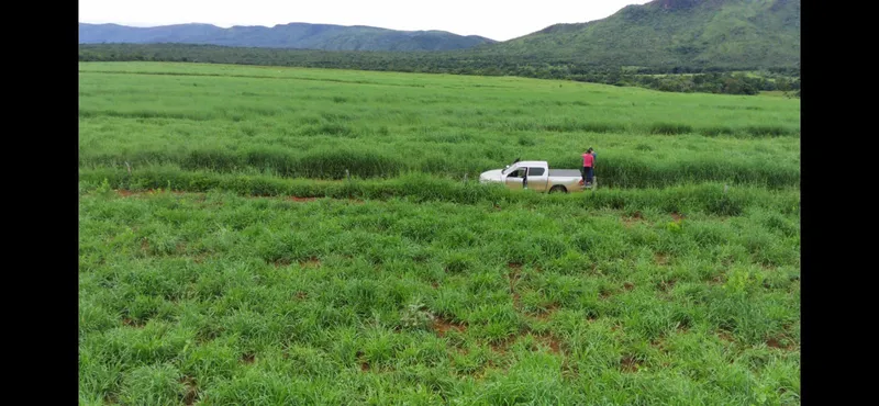 Fazenda em Colinas do Sul/Goiás — Ref QWR8H6 — Imagem 7