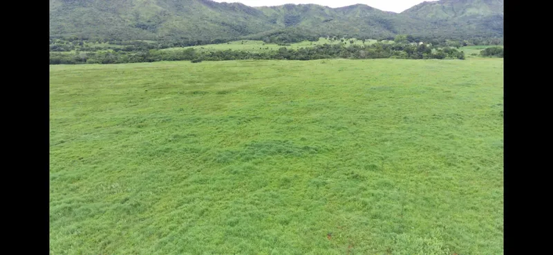Fazenda em Colinas do Sul/Goiás — Ref QWR8H6 — Imagem 8
