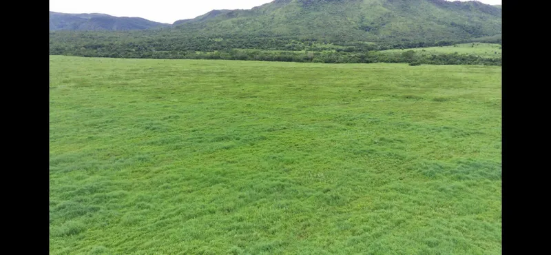 Fazenda em Colinas do Sul/Goiás — Ref QWR8H6 — Imagem 9