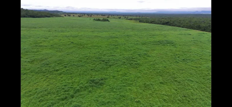 Fazenda em Colinas do Sul/Goiás — Ref QWR8H6 — Imagem 6