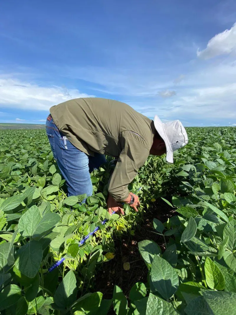 Fazenda em São João d'Aliança/Goiás — Ref ZOOZL9 — Imagem 2