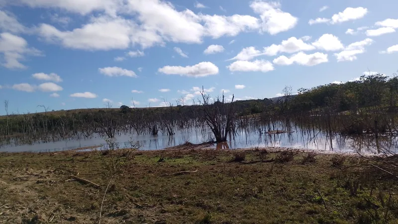 Fazenda em São João d'Aliança/Goiás — Ref ZOOZL9 — Imagem 10