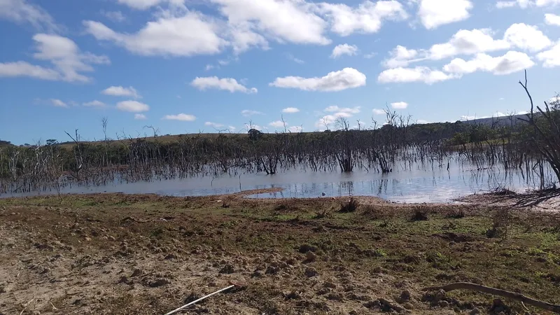 Fazenda em São João d'Aliança/Goiás — Ref ZOOZL9 — Imagem 11