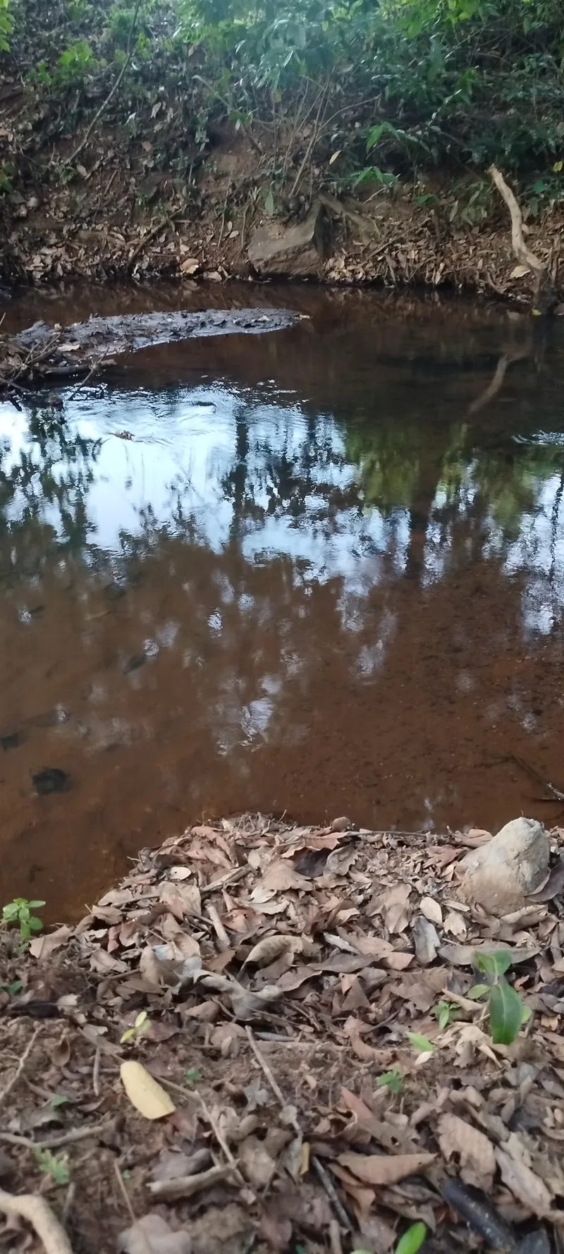 Chácara em Anápolis/Goiás — Ref N88WC7 — Imagem 5